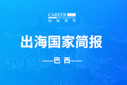 z6com时凯集团GO GLOBAL | 巴西国家简报